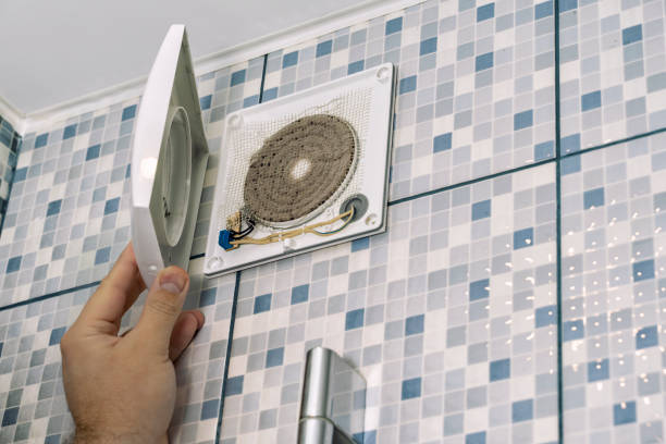 Best Air Vent Cleaning Services  in Llington, MI