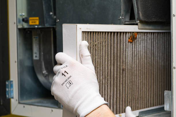 Best Professional Duct Cleaning Services  in Llington, MI