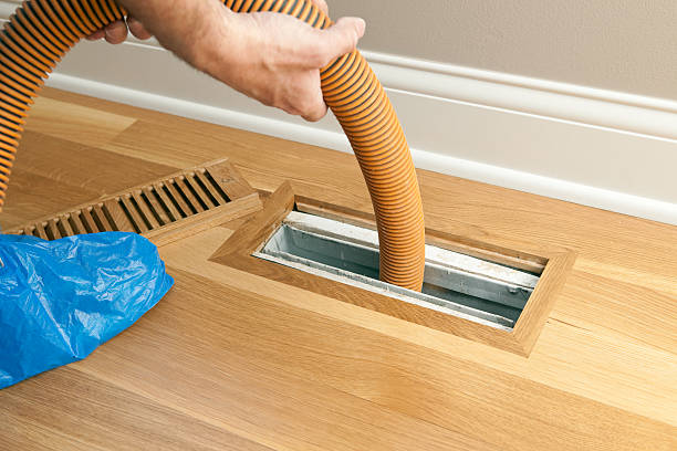 Best Affordable Duct Cleaning Services  in Llington, MI
